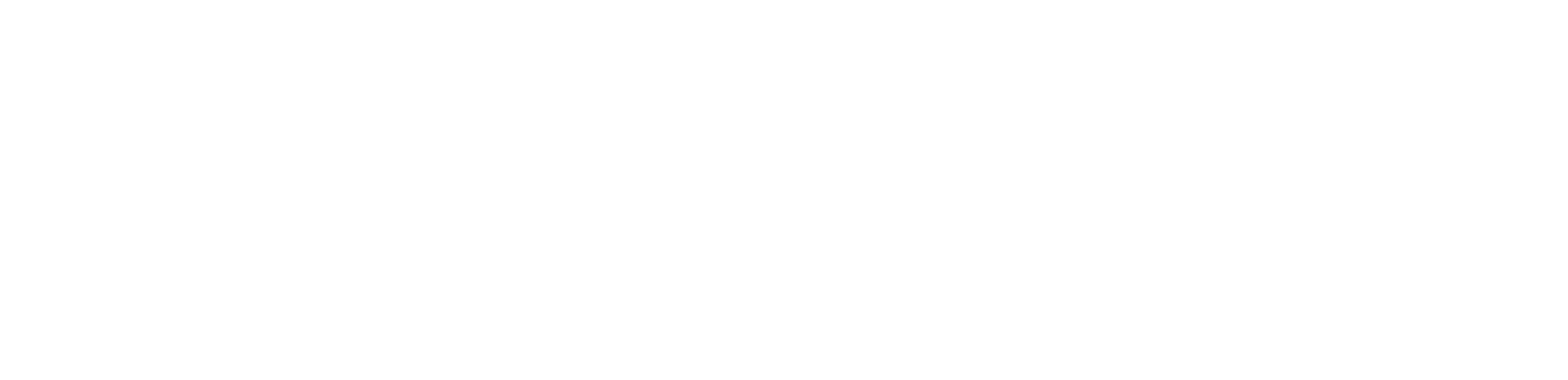 PL Lemmetti